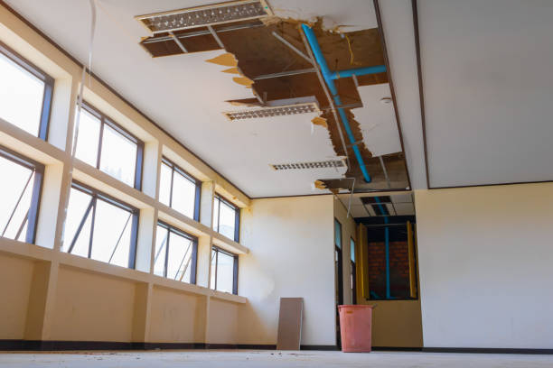 Best Water damage restoration near me  in Williamston, SC