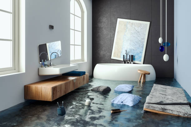 Best Professional water damage repair  in Williamston, SC