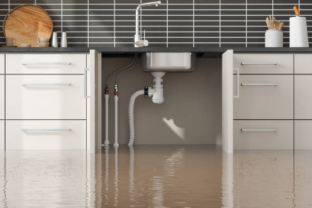 Best Water damage restoration near me  in Williamston, SC